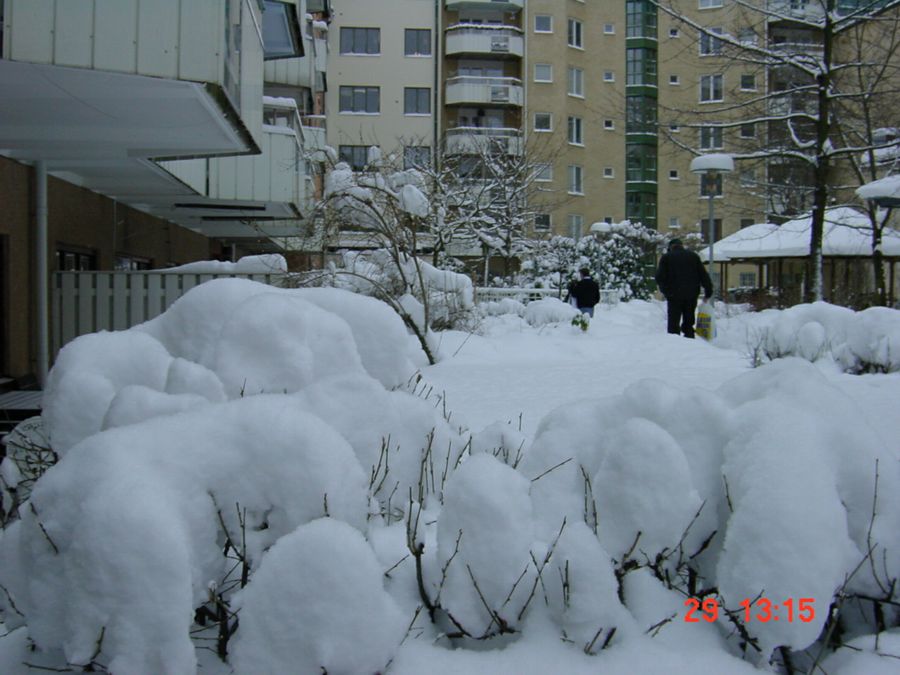 Det föll mycket snö 29 dec 2001