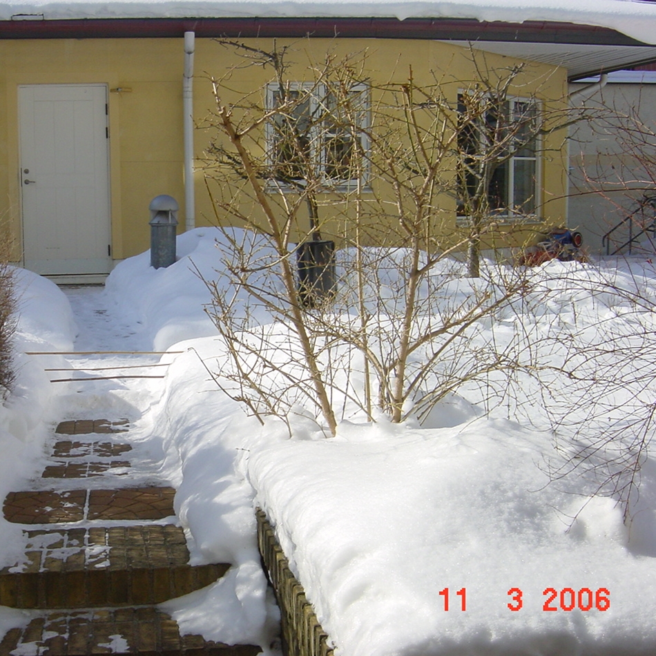 11 mars 2006 och mycket snö
