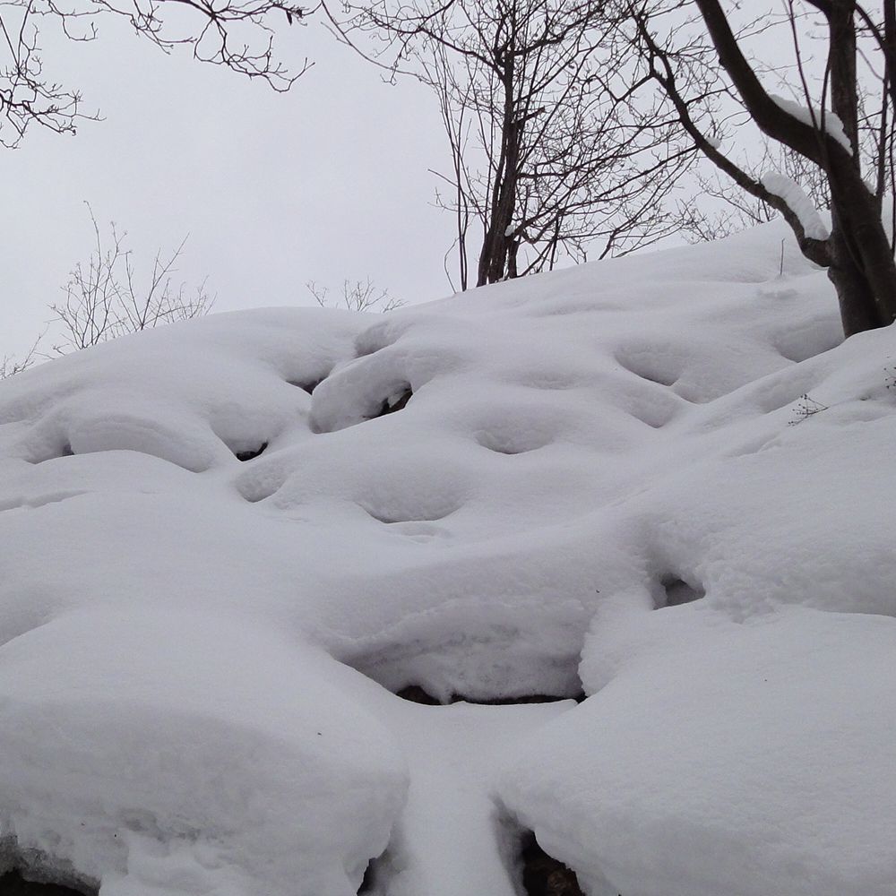  också mycket snö 2010