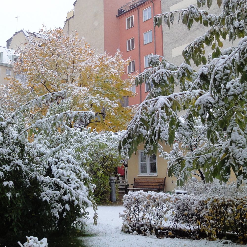 snö i oktober 2010