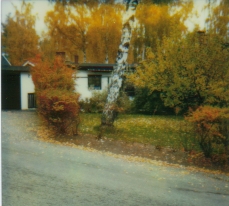 hole in the hedge den 14 oktober 1986